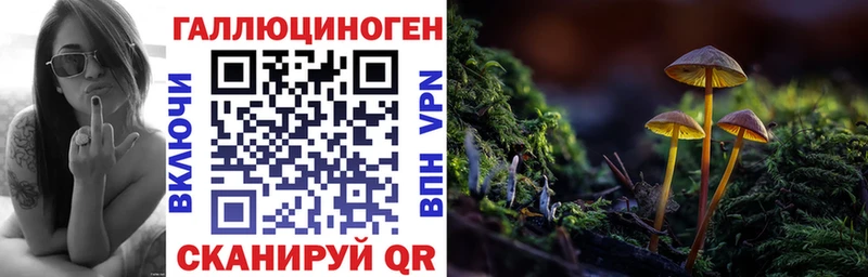 Галлюциногенные грибы мицелий  Верхоянск 